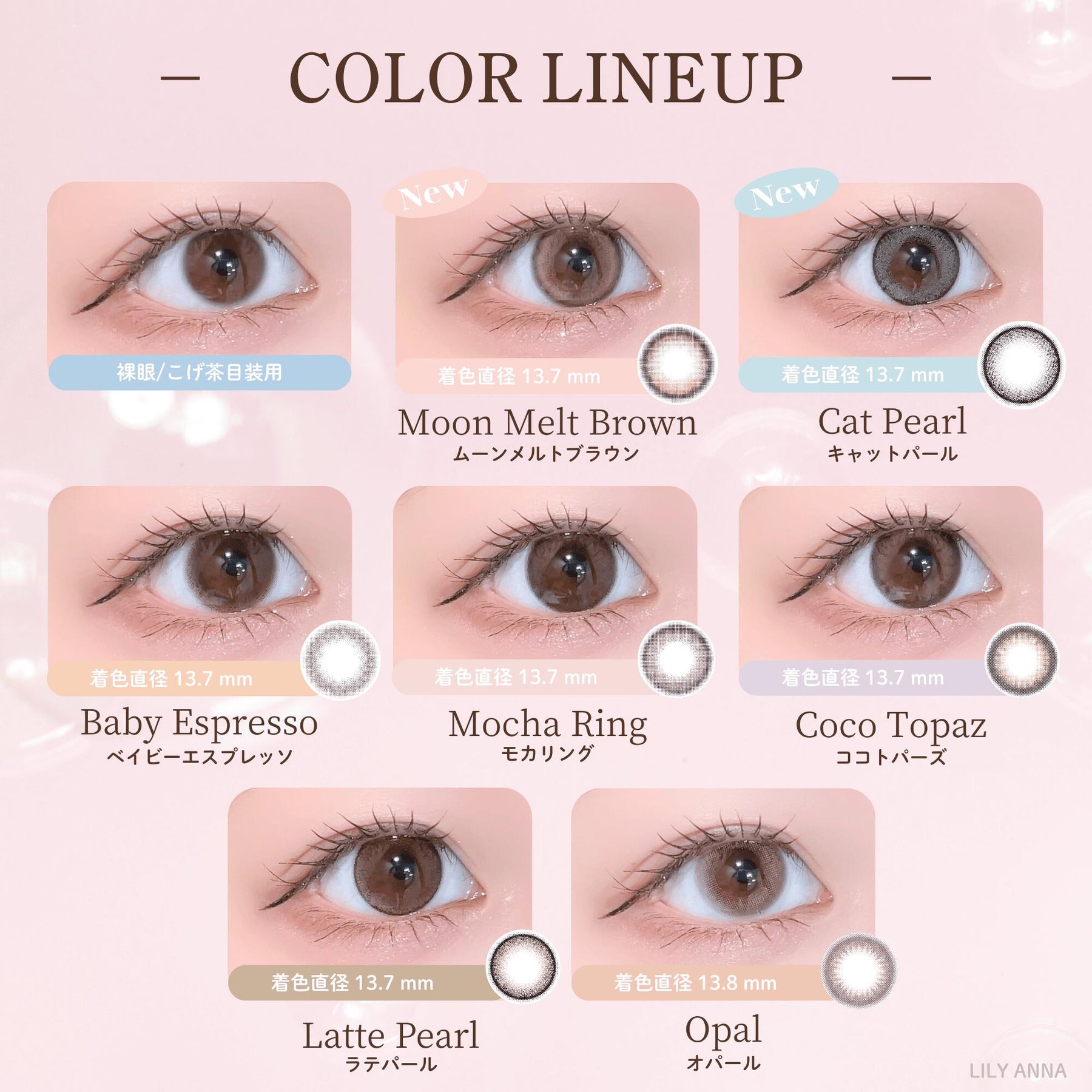 Japan Topards 1Day Disposable Color Contact Lenses