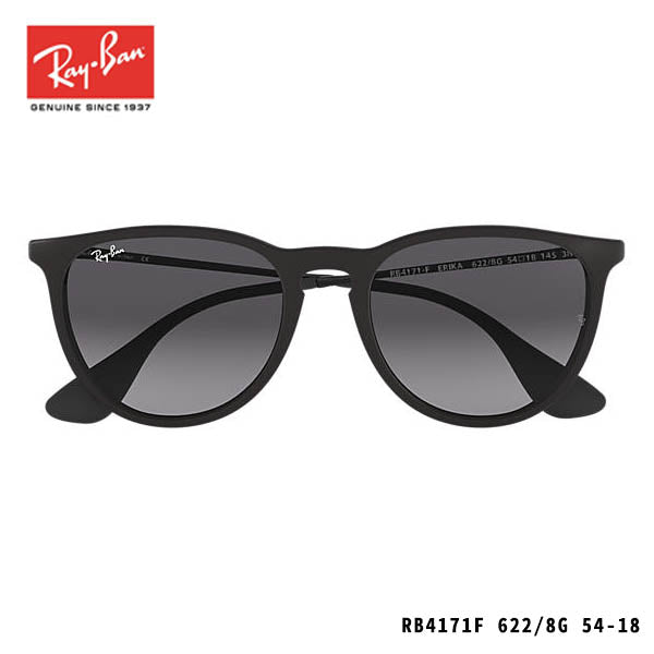 RayBan sunglasses-ERIKA CLASSIC