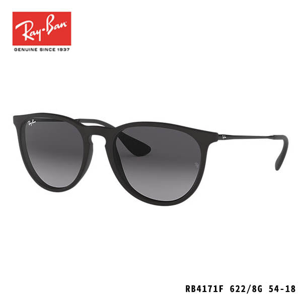 RayBan sunglasses-ERIKA CLASSIC