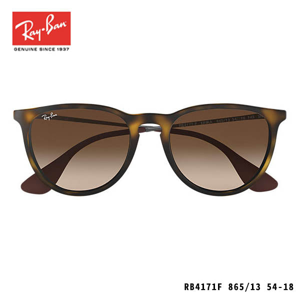 RayBan sunglasses-ERIKA CLASSIC
