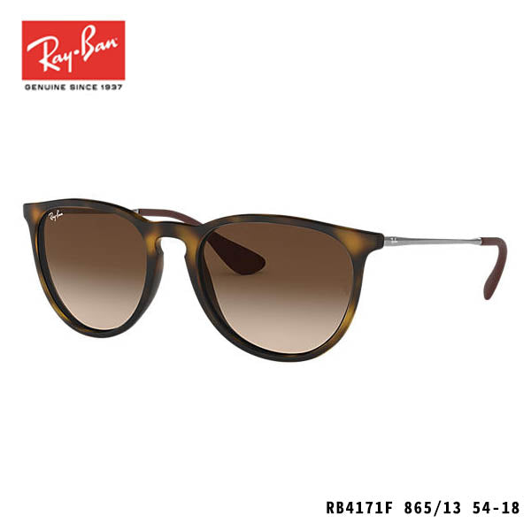 RayBan太陽眼鏡-ERIKA CLASSIC