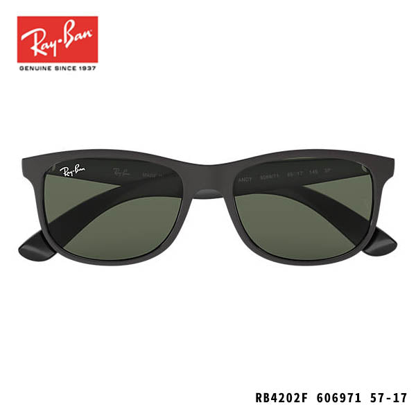 RayBan sunglasses-ANDY