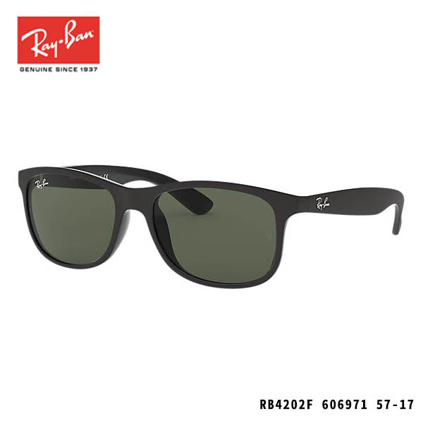 RayBan sunglasses-ANDY
