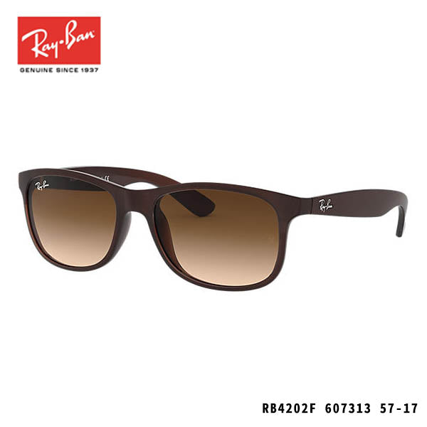 RayBan sunglasses-ANDY