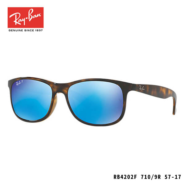 RayBan太陽眼鏡-ANDY-P