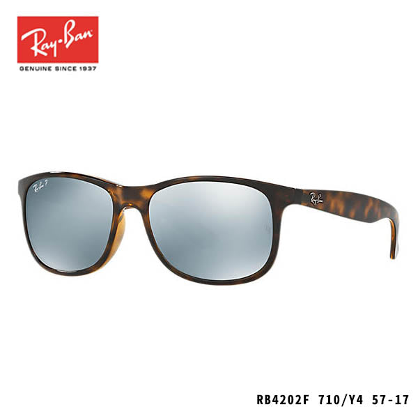 RayBan太陽眼鏡-ANDY-P