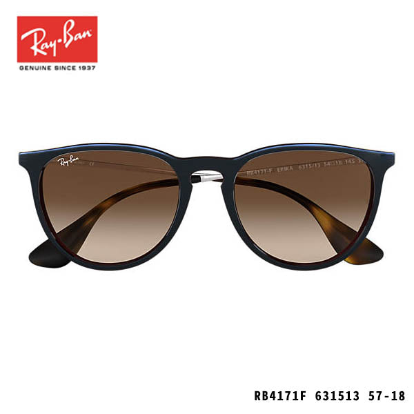 RayBan sunglasses-ERIKA CLASSIC