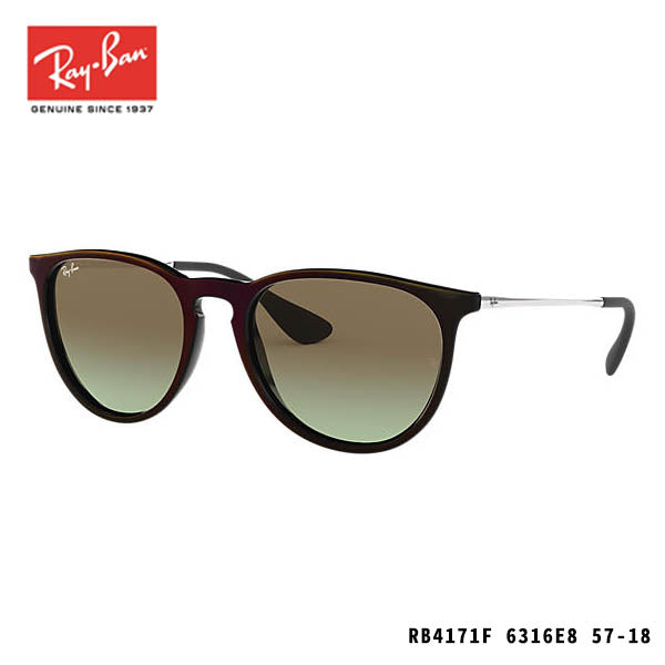 RayBan太陽眼鏡-ERIKA CLASSIC