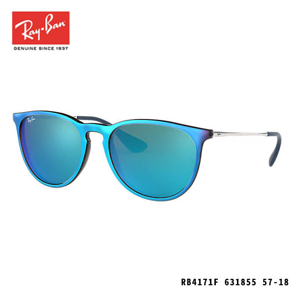 RayBan太陽眼鏡-ERIKA CLASSIC