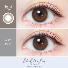 AISEI EverColor1day Natural Moist Lable UV 日拋彩色隱形眼鏡