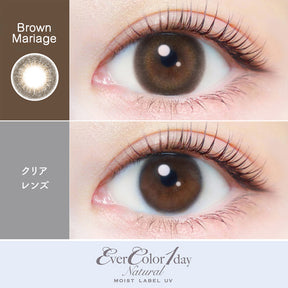 AISEI EverColor1day Natural Moist Lable UV 日拋彩色隱形眼鏡