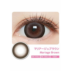 日本 Majette 1 Day Relax UV Moisture 日拋漸進彩色隱形眼鏡