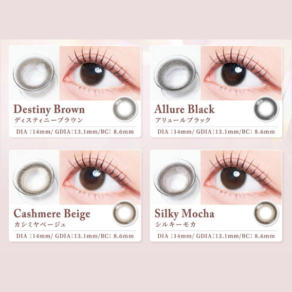 日本 Mevilage 1Day 日拋彩色隱形眼鏡