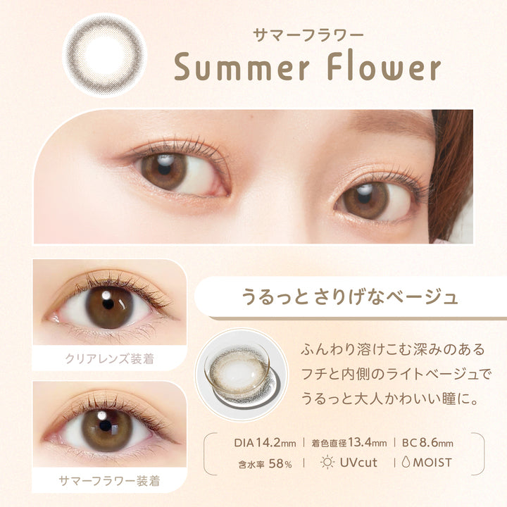 AISEI EverColor1day Nicori 10P One-Day Disposable Color Contact Lenses