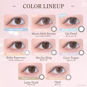 Japan Topards 1Day Disposable Color Contact Lenses