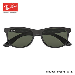 RayBan sunglasses-ANDY