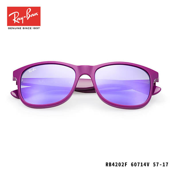 RayBan sunglasses-ANDY