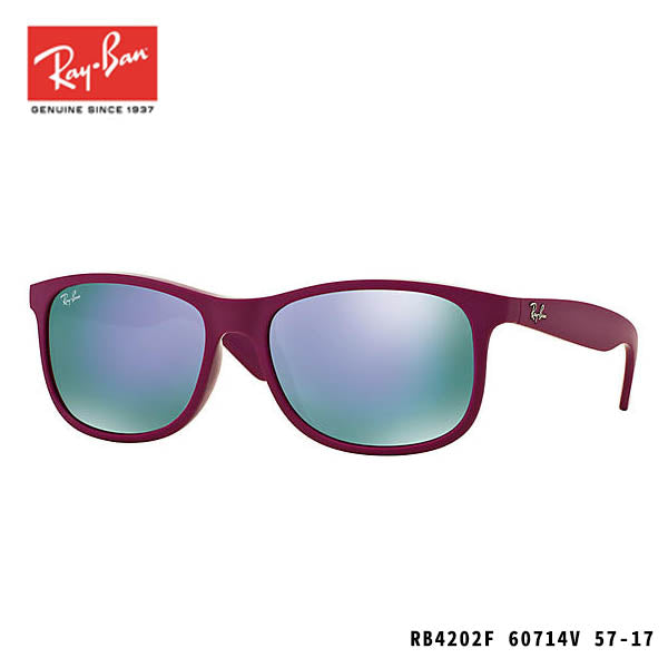RayBan sunglasses-ANDY
