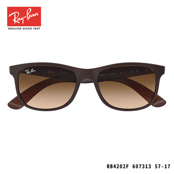 RayBan sunglasses-ANDY