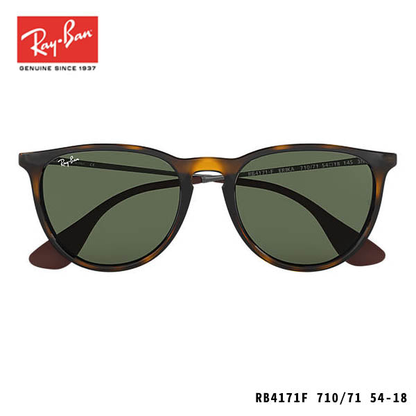 RayBan sunglasses-ERIKA CLASSIC