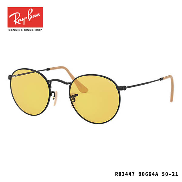 RayBan sunglasses-ROUND WASHED EVOLVE